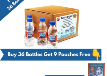 Pack of 36 Bottles containing 250 ML Gangajal in a bottle (250 ML * 36 Bottles = 1 Box)
