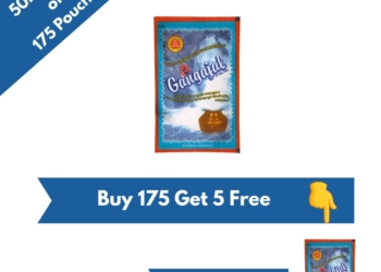 Pack of 175 Pouches containing 50 ML Gangajal in one pouch (50 ml * 175 pouches = 1 Box)