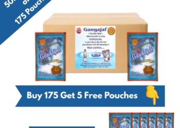 Pack of 175 Pouches containing 50 ML Gangajal in one pouch (50 ml * 175 pouches = 1 Box)