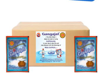 Pure Gangajal – Packed at Gangotri Valley (For Puja Purpose) – Pack of 600 Pouches of 20ml