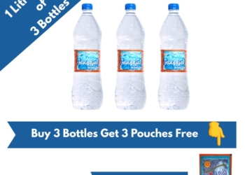 Pack of 3 Bottles containing 1 litre Gangajal in one bottle (1 litre * 3 Bottles=1 Box)