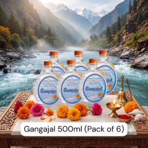 500ml gangajal