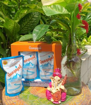 Gangajal gift box 220ml