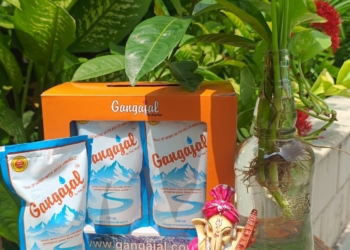 (Gift Box) pack of 10 Pouches of 220ml Pure Gangajal – Packed at Gangotri Valley (For Puja Purpose)