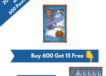 Pack of 600 Pouches containing 20 ML Gangajal in one pouch (20 ml * 600 pouches = 1 Box)