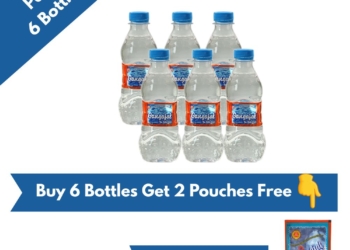 Pack of 6 Bottles containing 250 ML Gangajal in one bottle (250 ML * 6 Bottles = 1 Box)