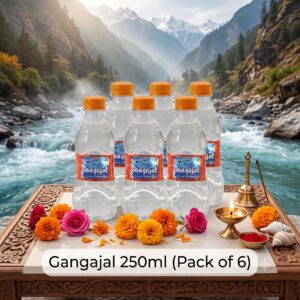 250ml gangajal
