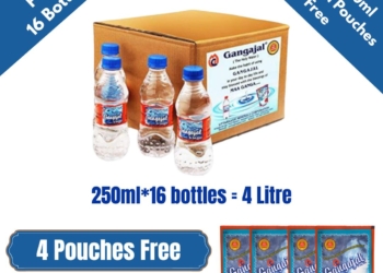 Pack of 16 Bottles containing 250 ML Gangajal in a bottle (250 ML * 16 Bottles = 1 Box)