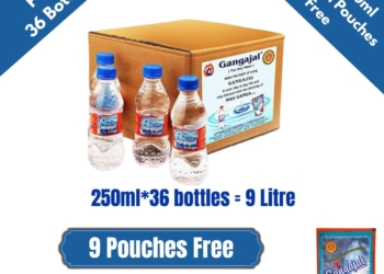 Pack of 36 Bottles containing 250 ML Gangajal in a bottle (250 ML * 36 Bottles = 1 Box)