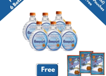 Pack of 6 Bottles containing 500 ML Gangajal in one bottle (500 ML * 6 Bottles = 1 Box)