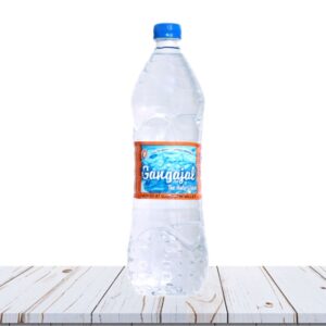 1litre Gangajal Bottle