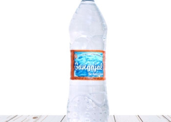 Pure Gangajal The Holy Water – Packed at GANGOTRI Valley – Only for Puja Purpose – 1 Litre Bottle
