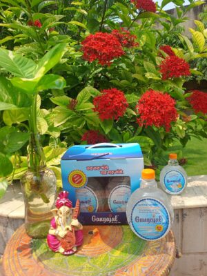 Gangajal gift box 500ml
