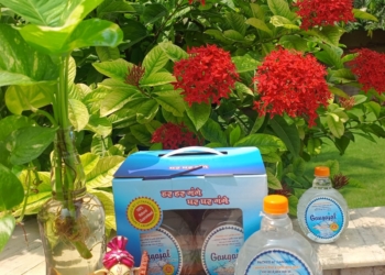 Gift Box Pack of 6 Bottles of 500ml Pure Gangajal – Packed at Gangotri Valley (For Puja Purpose)