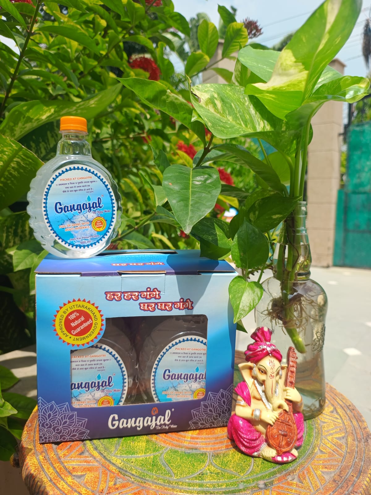 Gift Box Pack of 6 Bottles of 500ml Pure Gangajal - Packed at Gangotri Valley (For Puja Purpose) - Image 3